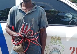 Police Arrest 30-Year-Old Vandal In Lagos | Daily Report Nigeria