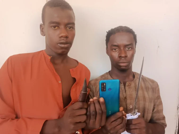 Police Arrest 2 Wanted Teenage Thieves In Adamawa | Daily Report Nigeria