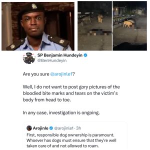 UPDATE: Police Confirm Death Of Security Guard Mauled By Dogs | Daily Report Nigeria