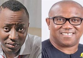 Sowore Rejects Coalition with Peter Obi, Labels Him ‘Non-Performer’ | Daily Report Nigeria