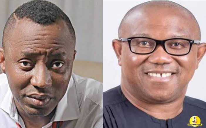 Sowore Rejects Coalition with Peter Obi, Labels Him ‘Non-Performer’ | Daily Report Nigeria