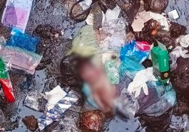 Newborn Baby Found Dead Inside Gutter In Abia | Daily Report Nigeria