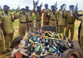 Hisbah Seizes 78 Cartons of Alcoholic Drinks in Jigawa | Daily Report Nigeria