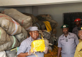 Customs Seizes ₦117 Million Worth of Illicit Drugs in Ogun | Daily Report Nigeria