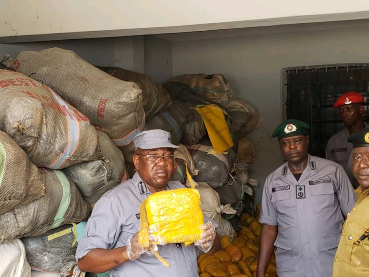 Customs Seizes ₦117 Million Worth of Illicit Drugs in Ogun | Daily Report Nigeria