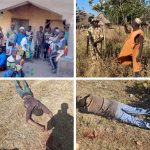 3 Dead, 25 Rescued As Troops Invade Kidnappers Den | Daily Report Nigeria