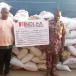 Amotekun Arrests Two Indian Hemp Dealers In Ondo | Daily Report Nigeria