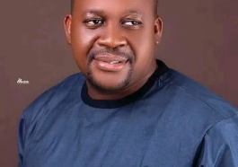 Gunmen Kidnap Anambra Lawmaker, Hon. Azuka | Daily Report Nigeria