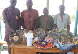 Herbalist, 2 Others Arrested For Murder In Niger | Daily Report Nigeria