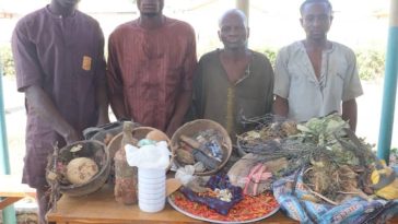 Herbalist, 2 Others Arrested For Murder In Niger | Daily Report Nigeria