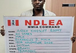 Turkey-based Nigerian Man, Arrested, Sentenced For Drug Trafficking | Daily Report Nigeria