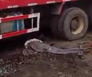 FLASH: Truck Crushes Pedestrian To Death In Lagos | Daily Report Nigeria