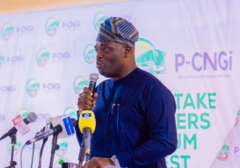 FG $450 Million Investment Accelerates CNG Expansion in Nigeria - PCNGi | Daily Report Nigeria