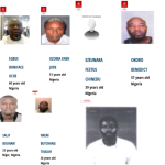 INTERPOL Declares 14 Nigerians Wanted for Various Crimes | Daily Report Nigeria