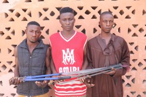 Police Arrest Ex-convict, 2 Others For Theft In Niger