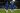 Cucurella Scores Winner as Chelsea Edge Man Utd for UCL Spot | Daily Report Nigeria