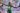 Tobi Amusan Breaks Record To Win 100m Hurdles At Rabat Diamond League | Daily Report Nigeria