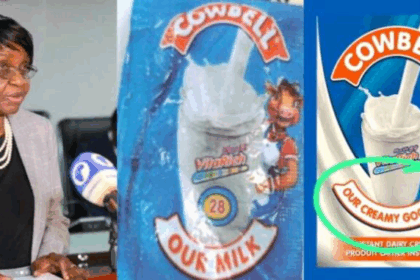 FotoJet7 1 768x384 1