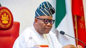 e615a0e238e82a4182913d6dafb5f4b5