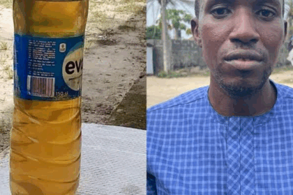 Nigerian Inventor Unveils Fuel From Trees That Can Power Cars, Planes