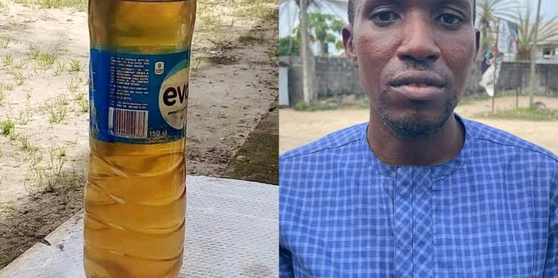 Nigerian Inventor Unveils Fuel From Trees That Can Power Cars, Planes