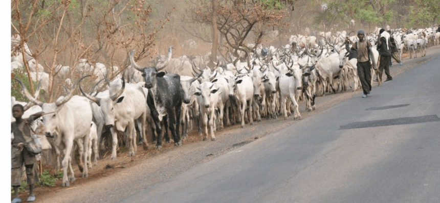 Herdsmen
