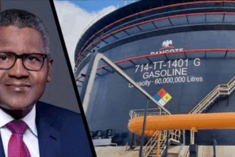 IMG 20240907 0614461