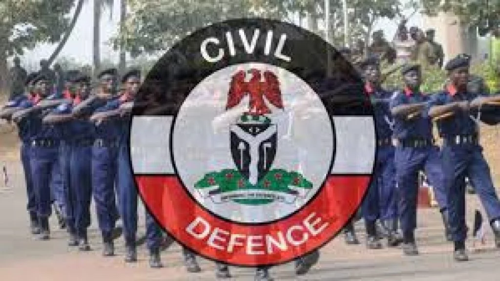 NSCDC Arrests Suspected Fraudster in Adamawa Over ₦9 Million Scam