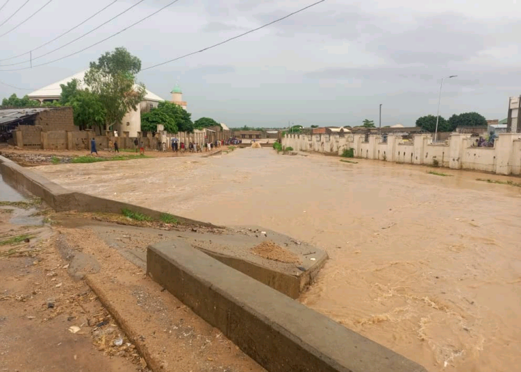 flood3 750x536 1