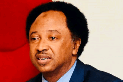 shehu sani says
