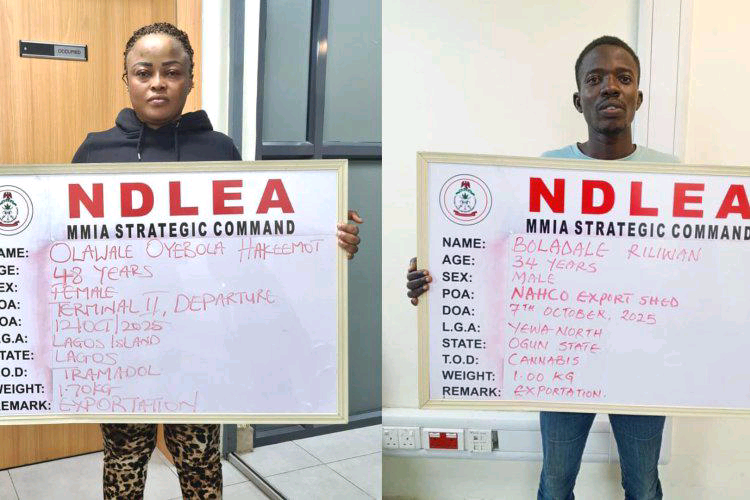 NDLEA Uncovers Drug Syndicate Hiding Tramadol in Frozen Snails, Electrical Bulbs