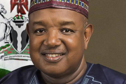 EU Partnership Will Help Nigeria Hit $1trillion Economy Target - Bagudu