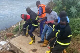 Fire service