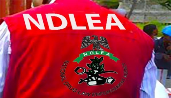 NDLEA, Soldiers Ambushed in Edo During Drug Operation