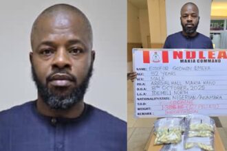 NDLEA Arrests Businessman at Kano Airport After Excreting 127 Wraps of Cocaine