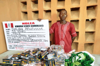 NDLEA Dismantles Cocaine Cartel Behind Six UK Shipments, Arrests Kingpin, Five Others