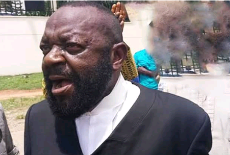 Presidency Calls for Sanction Against Nnamdi Kanu’s Lawyer Over Protest Participation