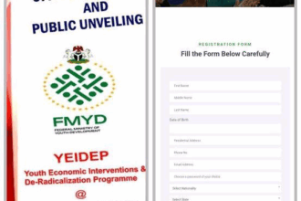 FG Reopens YEIDEP Portal — How to Secure ₦500,000 Youth Business Grant
