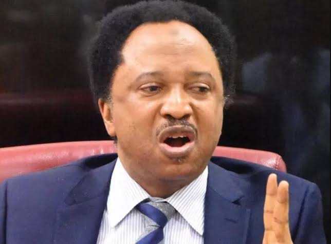 Shehu Sani Reacts as UNN Disowns Minister Uche Nnaji’s Degree Certificate