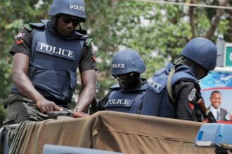 nigeria police 1 1