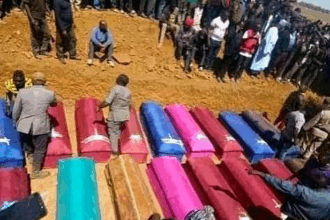 9e94697d5cfa76f188dd5ca2c823c76c