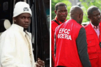 IMG 8517 1 1200x659 1