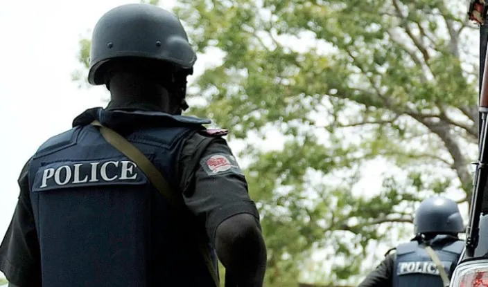 Police Repel Bandits’ Attack in Kebbi, Recover 141 Stolen Livestock
