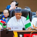 Shettima at G20 Leaders Summit 1