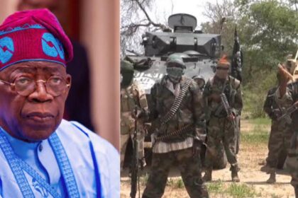 WhatsApp Image 2023 09 01 at 11.51.40