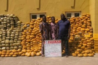 WhatsApp Image 2025 11 02 at 11.05.56 1000x516 1