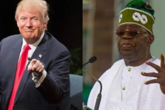 sr file 2025 11 24T162940.993