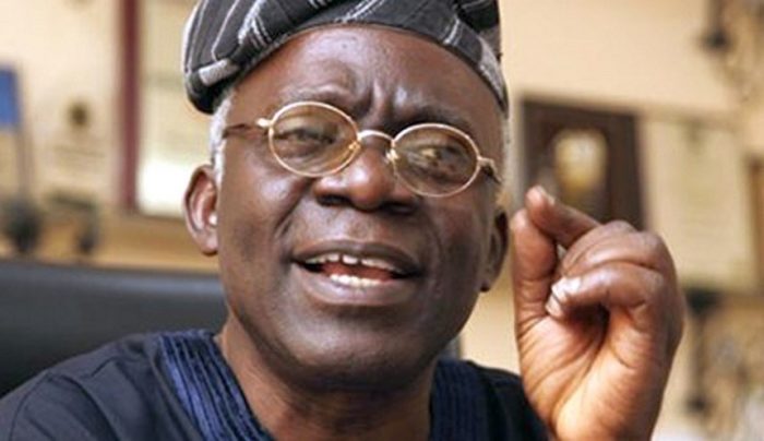 Supreme Court Did Not Approve Suspension of Elected Officials — Falana