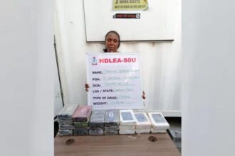 NDLEA arrest female kingpin