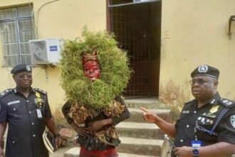 Police Arrest Masquerader For Causing Public Disturbance In Akwa Ibom 525x536 1